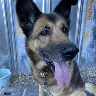 12歳。温かいお部屋で暮らしたい