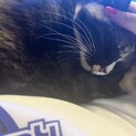 甘えん坊ちゃん