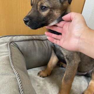 人が大好き✴︎パワフルなバームの家族を探してます。