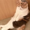 miyu7