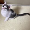 里親決定しました サムネイル2