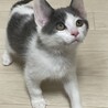 里親決定しました サムネイル4