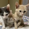 里親決定しました サムネイル5