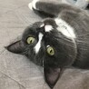の写真