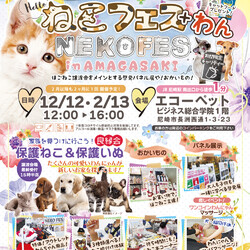 尼崎市『ほごねこ·ほごいぬ良縁会』 サムネイル2