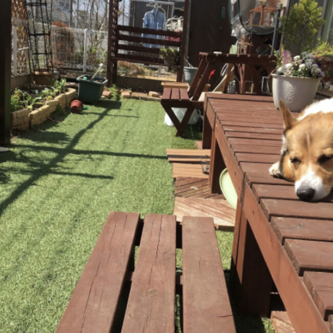 いぶかいのカバー写真