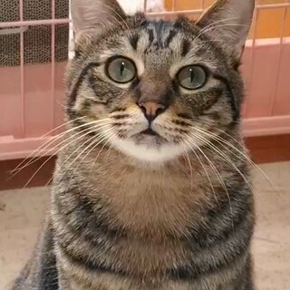 夢は‥思いきり遊びたい