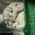 1歳の人なつこい女の子