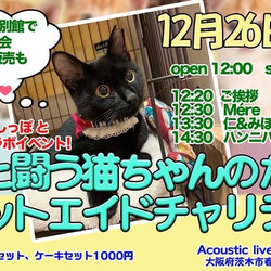 難病と闘う猫ちゃんとのためのキャットエイドチャリティー