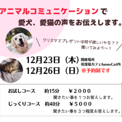 アニマルコミュニケーション☆埼玉県狭山市