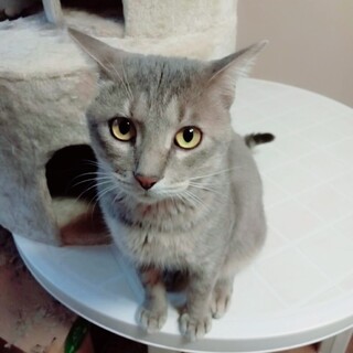 12/5西千葉ෆ⃛超絶甘えん坊ෆ⃛てるくん