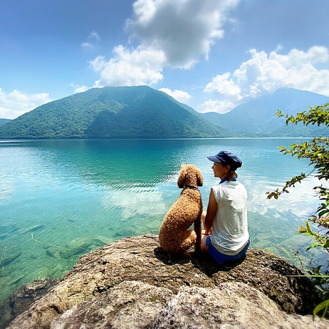 ハニーさんのママのカバー写真