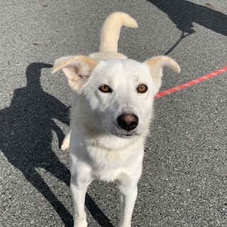 美人さんの【ましろ】ちゃん♡