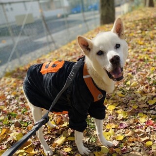 側に誰かがいる幸せを一緒に感じて欲しい、みかげくん