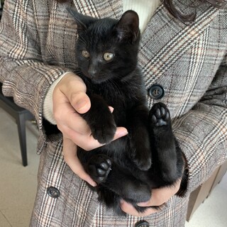 里親さま決まりました☆