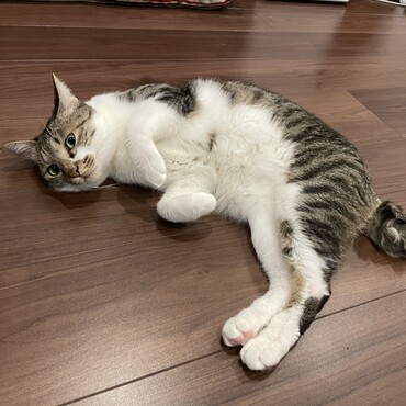 の写真