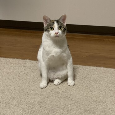 の写真