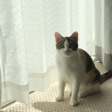 の写真