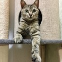 人馴れ訓練の真っ最中♡ダフネちゃん