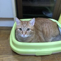 スナくん(スー､スーさん)
