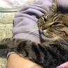 にゃむーこ