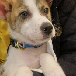 抱っこもしてます！テラ君