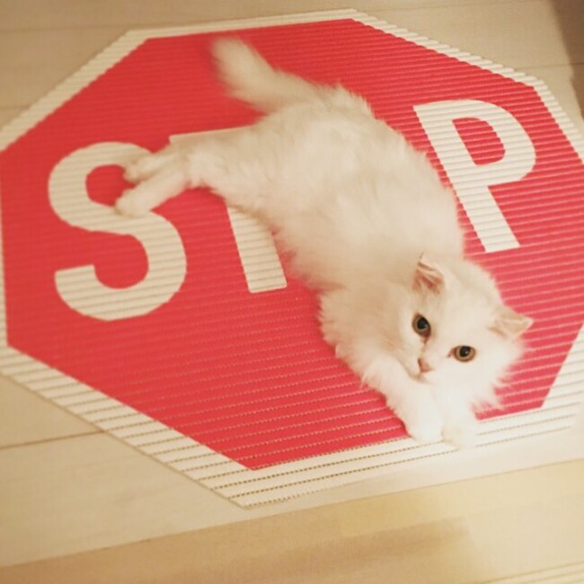 meg2216のカバー写真
