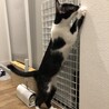 12/26ボニズハウスお見合い会参加参加♪ピオ サムネイル5