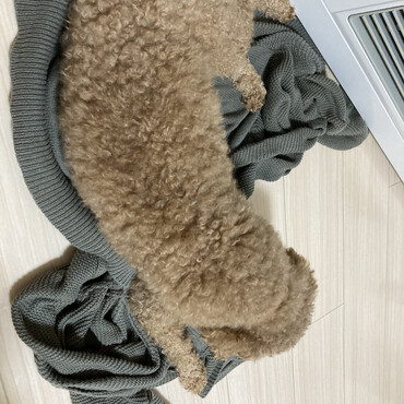 落ち着いてる時
