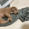 寝ている時です