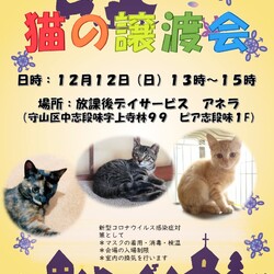 保護猫譲渡会atアネラ