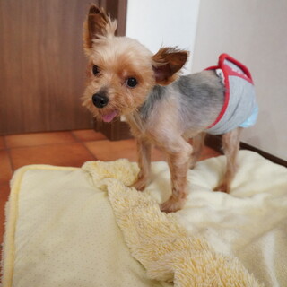 ちっちゃなカツくん