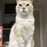 の写真