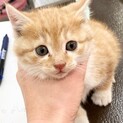 12/4 Terra里親会に参加❣️