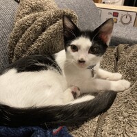 ぽんず