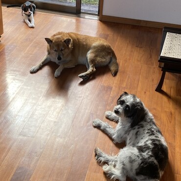 の写真