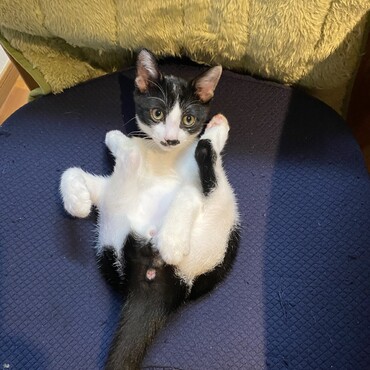 の写真