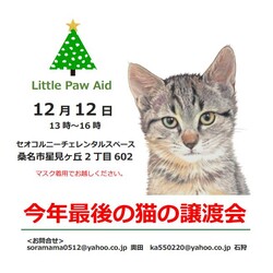 三重県桑名市１２月１２日(日）第１２２回リトルパウエイド譲渡会