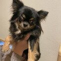 凛々しいアリスちゃん♡