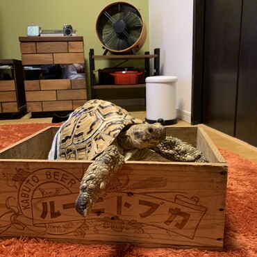 の写真