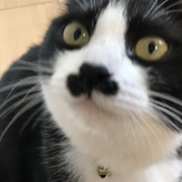 の写真