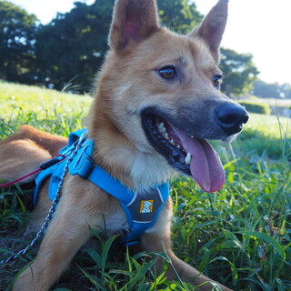 「まさき」男の子