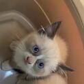 元気な男の子(3ヶ月)