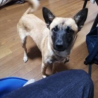 「あき」女の子