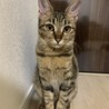  さん
