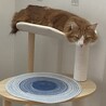 あこみこ