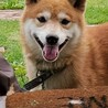 東 