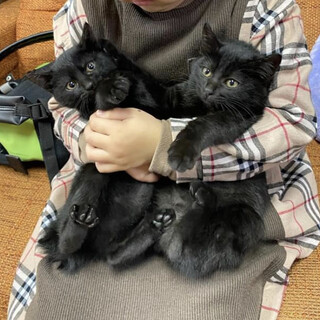 里親さま決まりました☆