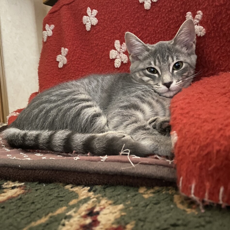 もにのカバー写真