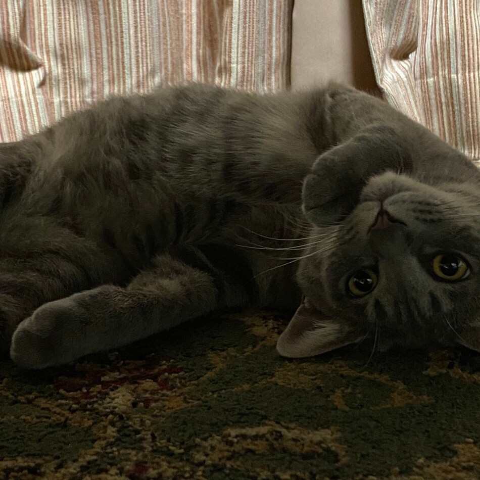 もんじのカバー写真